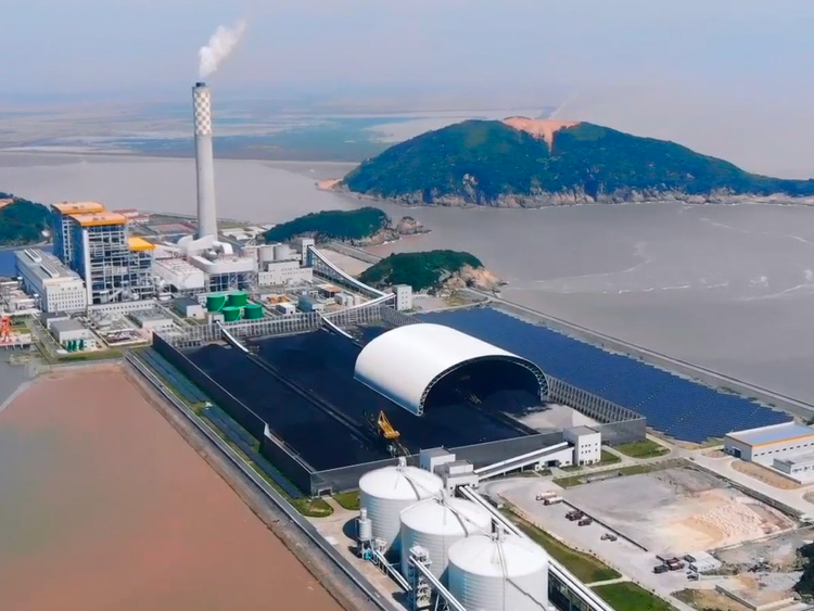 造纸工厂用煤供应 纸浆厂煤炭