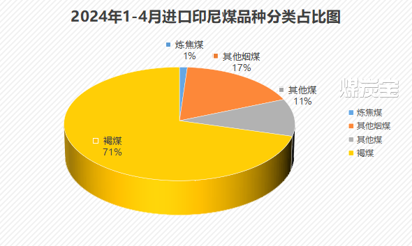 2024年进口印尼煤品种分类占比图
