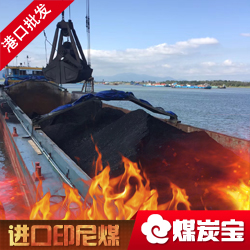 印尼煤批发