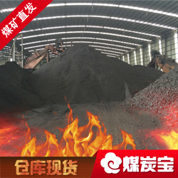 引途公司煤炭仓库照片
